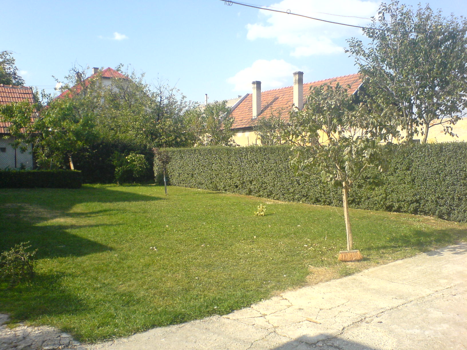 DSC00616.JPG