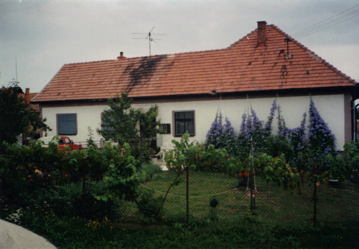 domcek.jpg