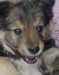 DSC04437-1.jpg